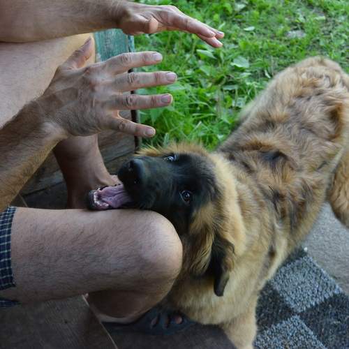 Photo #13245593