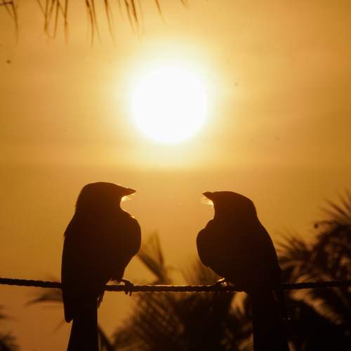 Photo #13245613