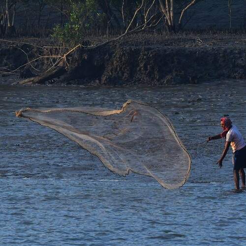 Photo #13245635