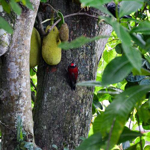Photo #13245650