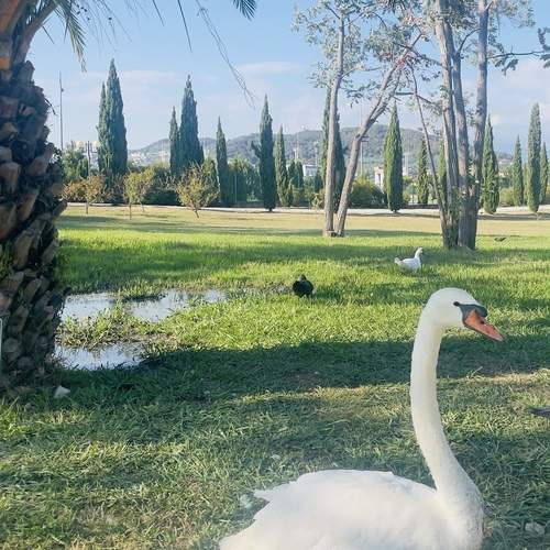 Photo #13245752