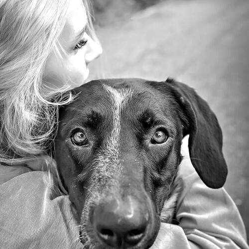 Photo #13245806