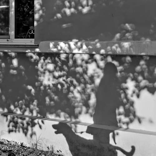 Photo #13245820