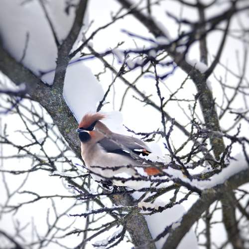 Photo #13245821