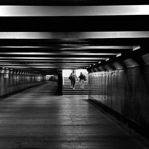 Photo #13245832