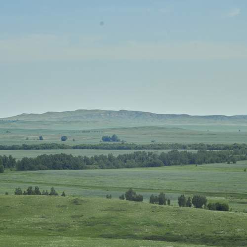 Photo #13245953