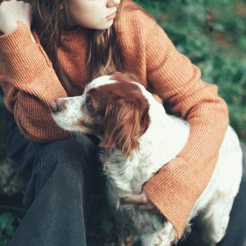 Photo #13245997