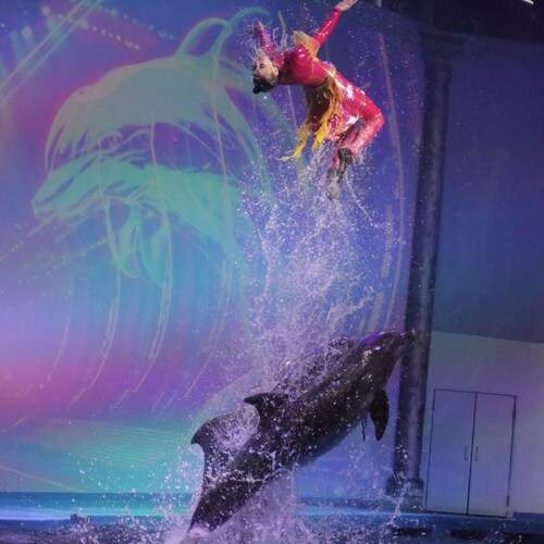 Photo #13246022