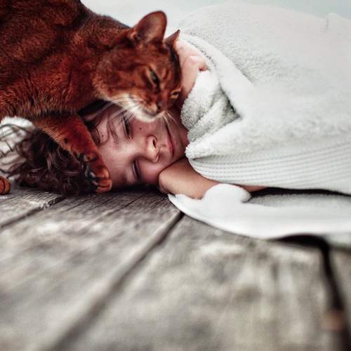 Photo #13246030