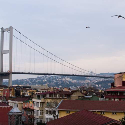 Photo #13246041