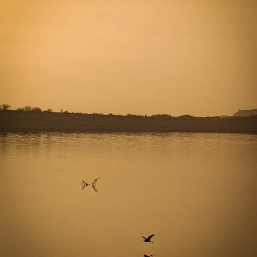 Photo #13246190