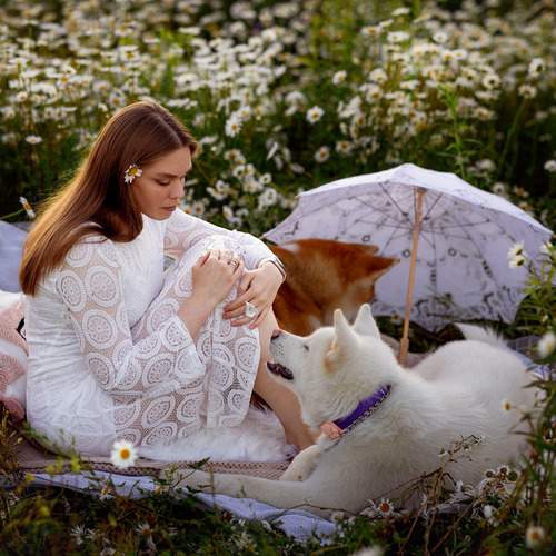 Photo #13246238