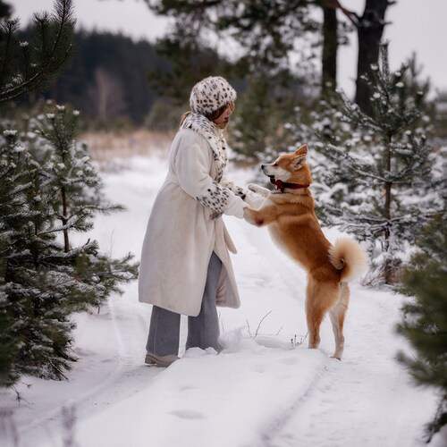 Photo #13246253