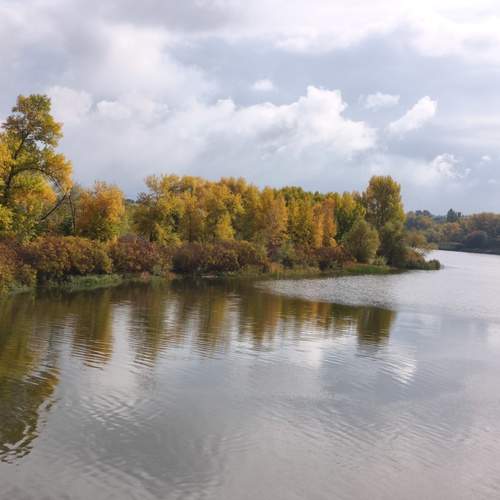 Photo #13246302