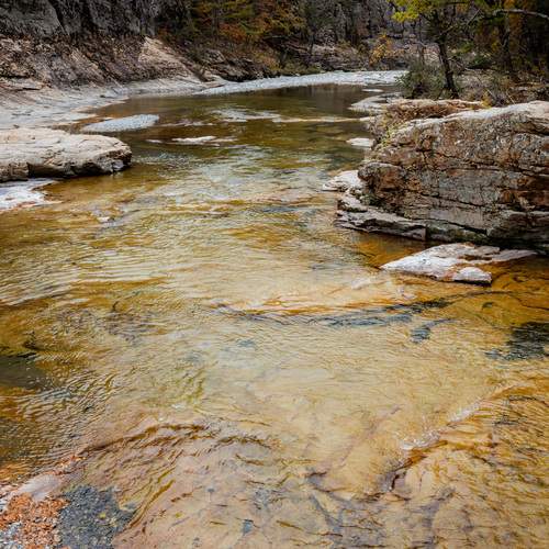 Photo #13246306