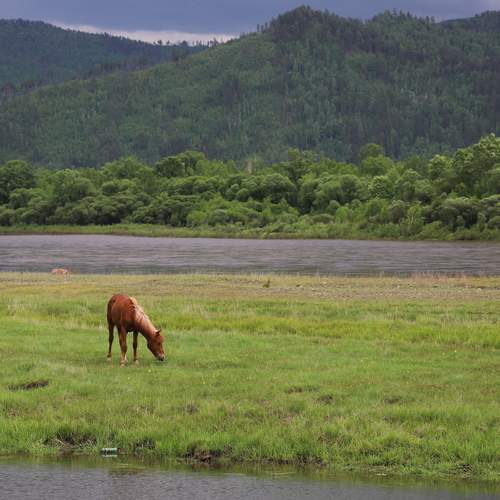 Photo #13246316