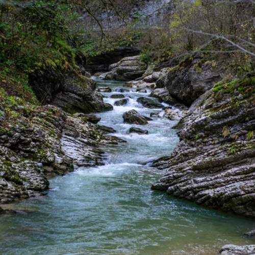 Photo #13246336