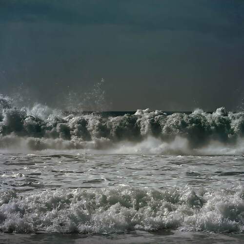 Photo #13246487