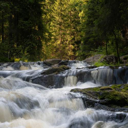 Photo #13246523