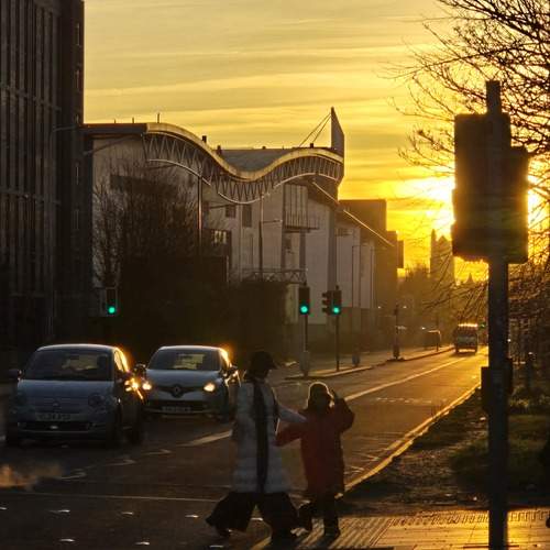 Photo #13246568