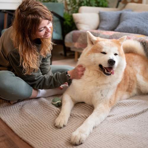 Фотография #13246602