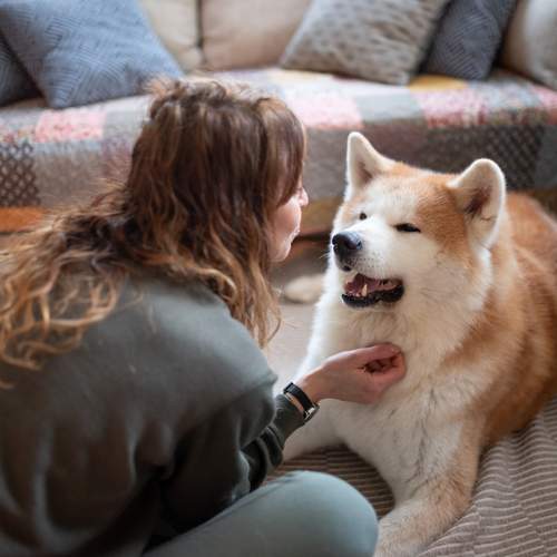 Фотография #13246616