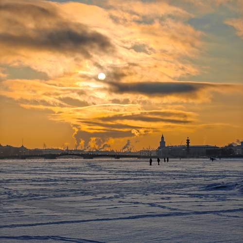 Photo #13246635