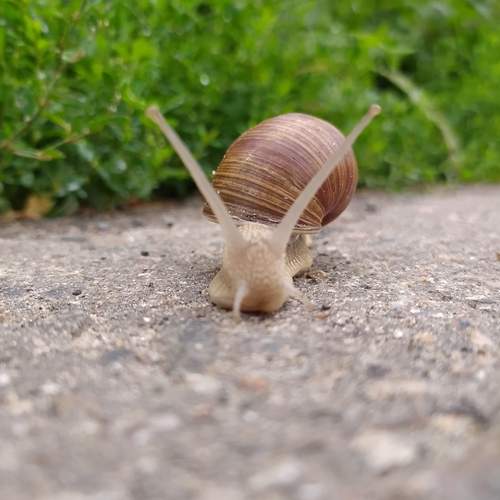 Photo #13246653