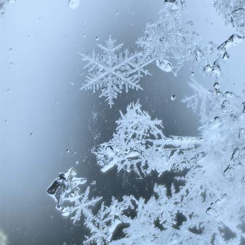 Photo #13246748