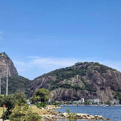 Photo #13246775