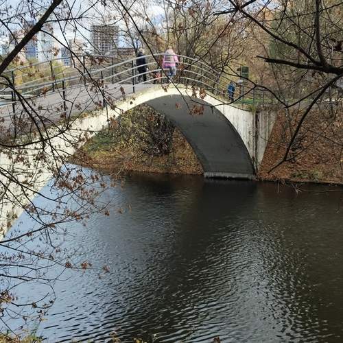Photo #13246779