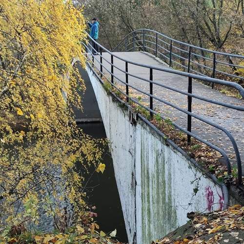 Photo #13246780