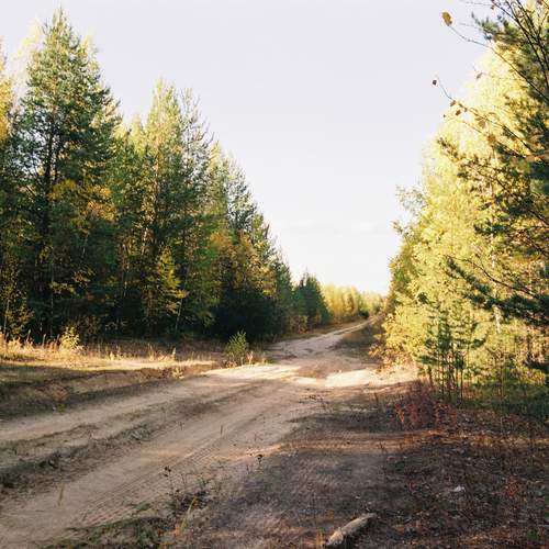 Photo #13246839