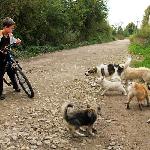 Photo #13246876