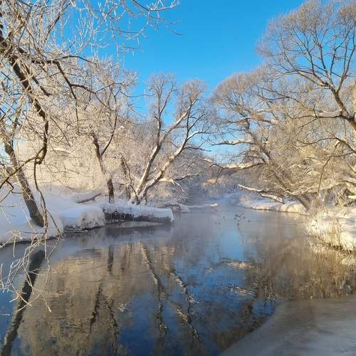 Photo #13246908