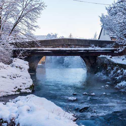 Photo #13246959