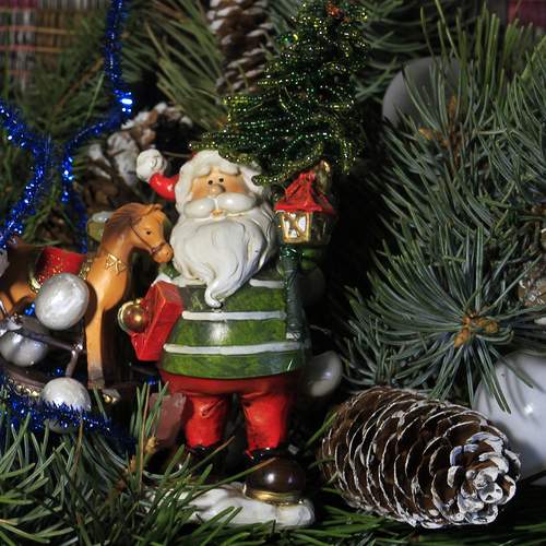 Фотография #13246964