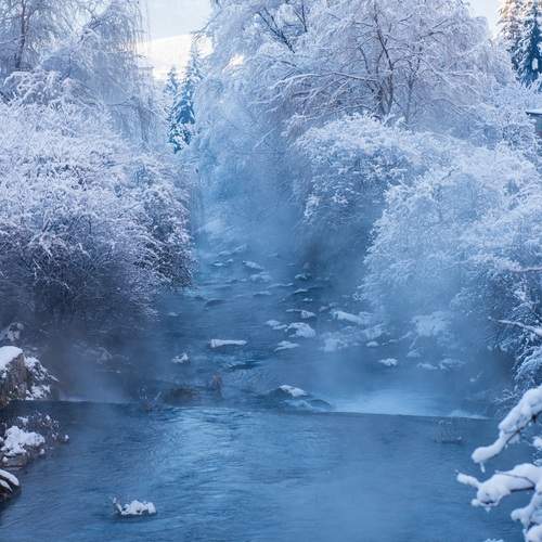 Photo #13247006