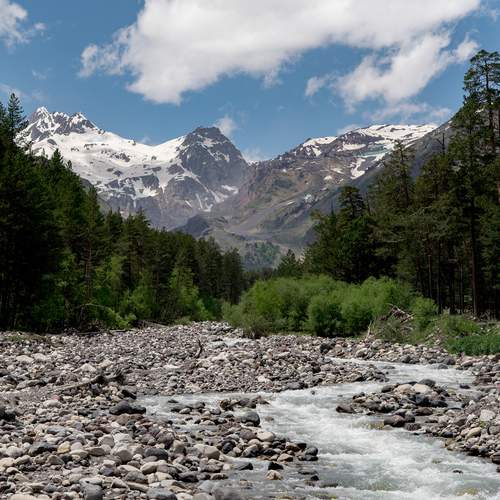 Photo #13247011