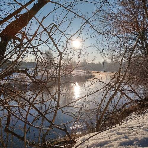 Photo #13247079