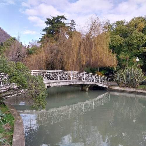Photo #13247123