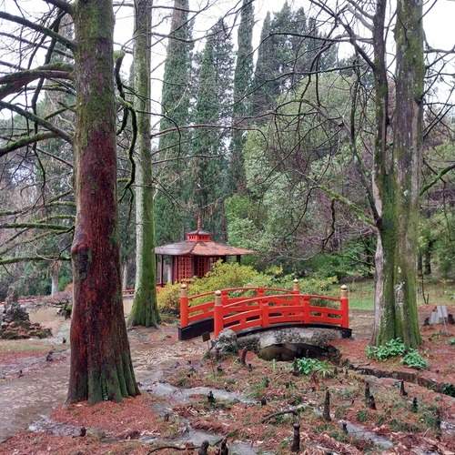 Photo #13247130