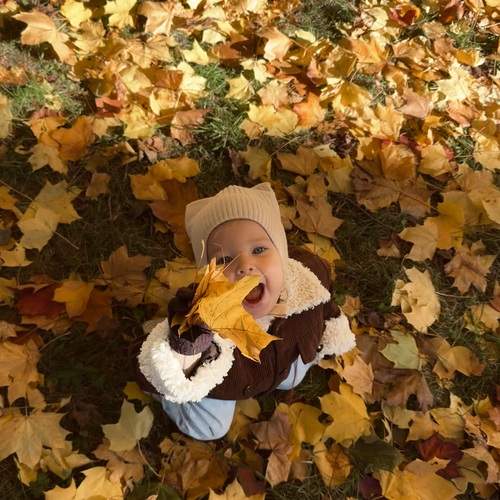 Photo #13247255