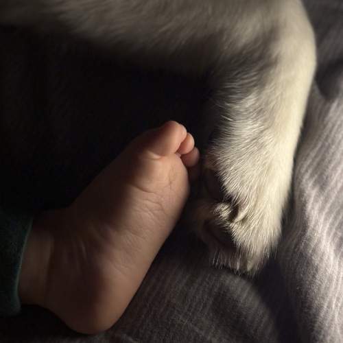 Photo #13247262