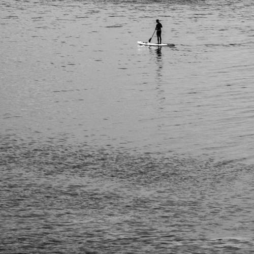 Photo #13247291
