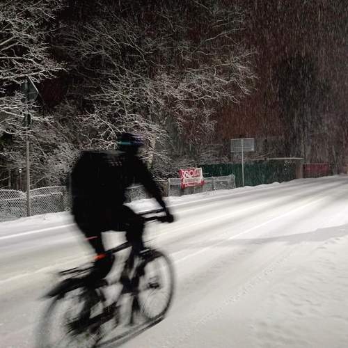 Photo #13247305