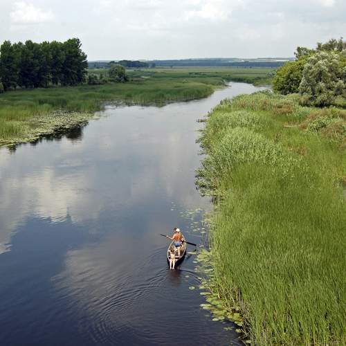 Photo #13247391