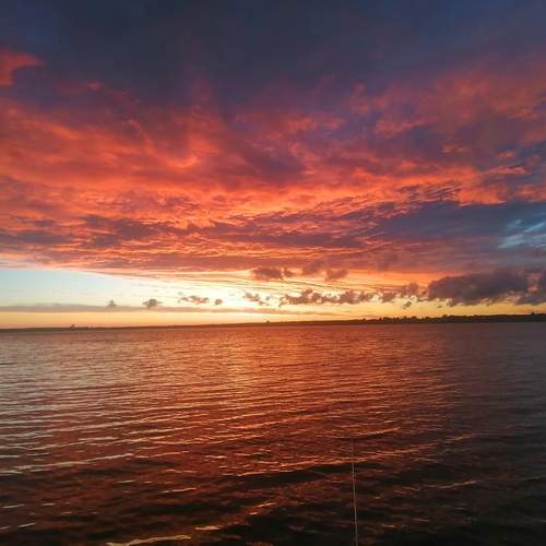 Photo #13247398