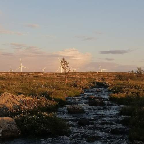Photo #13247400
