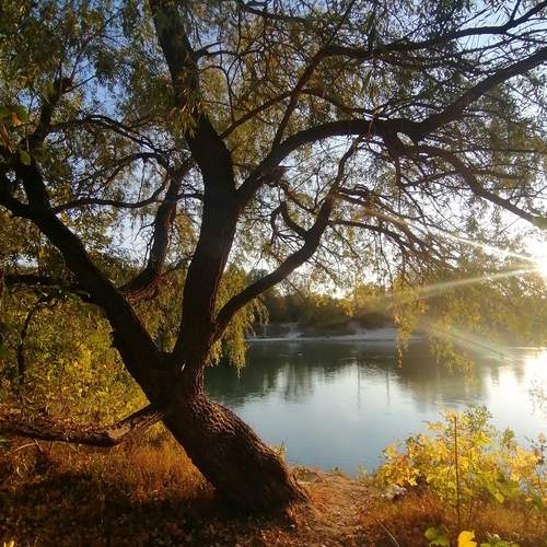 Photo #13247412